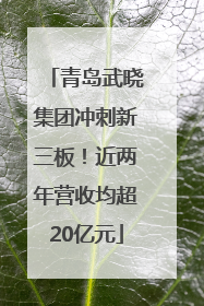 青岛武晓集团冲刺新三板！近两年营收均超20亿元