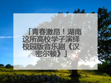 青春激昂！湖南这所高校学子演绎校园版音乐剧《汉密尔顿》