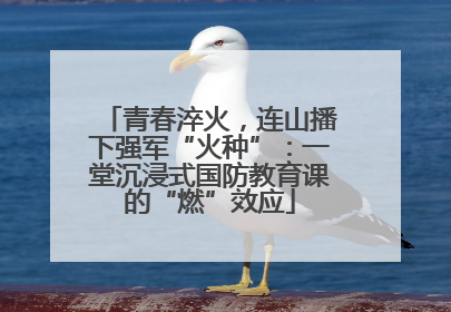 青春淬火，连山播下强军“火种”：一堂沉浸式国防教育课的“燃”效应