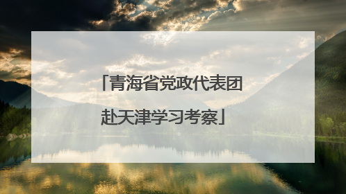 青海省党政代表团赴天津学习考察
