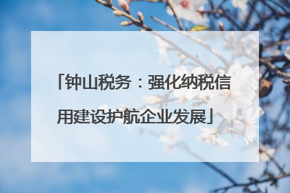钟山税务：强化纳税信用建设护航企业发展