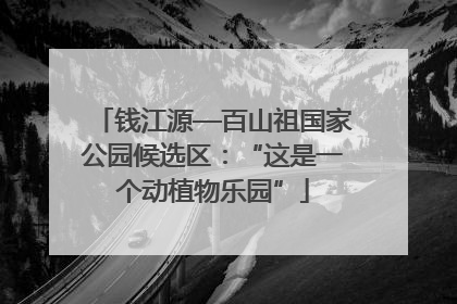 钱江源—百山祖国家公园候选区：“这是一个动植物乐园”