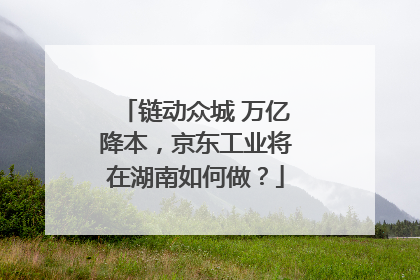 链动众城 万亿降本，京东工业将在湖南如何做？