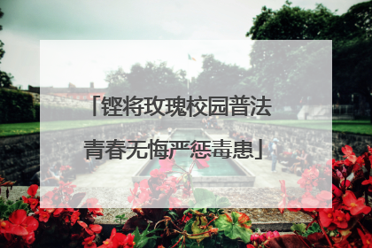 铿将玫瑰校园普法 青春无悔严惩毒患