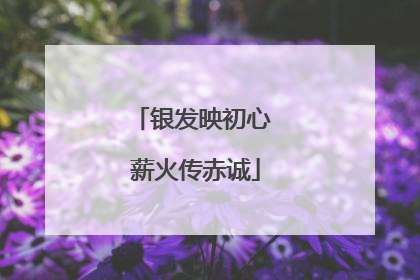 银发映初心 薪火传赤诚