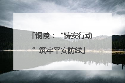 铜陵：“铸安行动”筑牢平安防线
