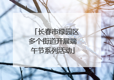 长春市绿园区多个街道开展端午节系列活动