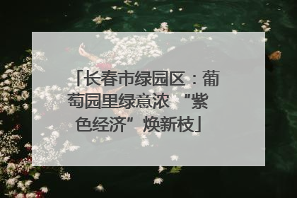 长春市绿园区：葡萄园里绿意浓 “紫色经济”焕新枝