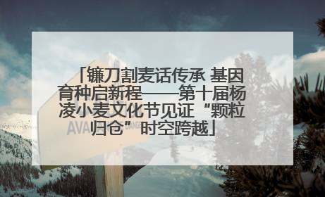 镰刀割麦话传承 基因育种启新程——第十届杨凌小麦文化节见证“颗粒归仓”时空跨越