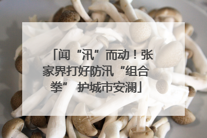 闻“汛”而动！张家界打好防汛“组合拳” 护城市安澜