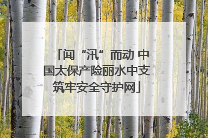 闻“汛”而动 中国太保产险丽水中支筑牢安全守护网