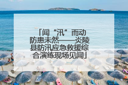 闻“汛”而动 防患未然——炎陵县防汛应急救援综合演练现场见闻