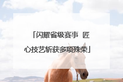 闪耀省级赛事  匠心技艺斩获多项殊荣