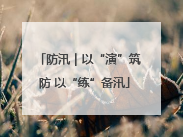 防汛｜以“演”筑防 以“练”备汛