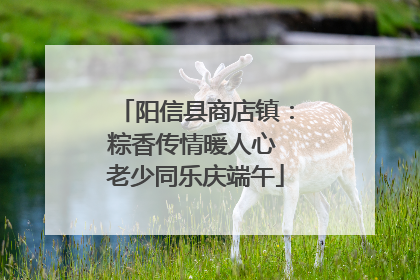 阳信县商店镇：粽香传情暖人心 老少同乐庆端午