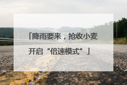 降雨要来，抢收小麦开启“倍速模式”