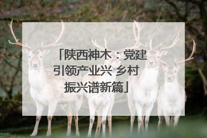 陕西神木：党建引领产业兴 乡村振兴谱新篇