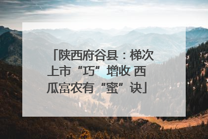 陕西府谷县：梯次上市“巧”增收 西瓜富农有“蜜”诀