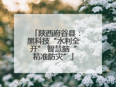 陕西府谷县：黑科技“水利全开” 智慧脑“精准防灾”
