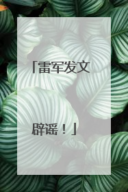 雷军发文辟谣！