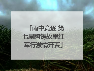 雨中竞逐 第七届陶铸故里红军行激情开赛