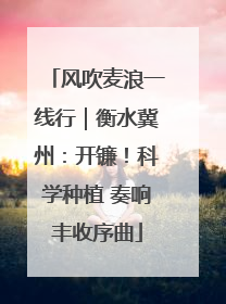 风吹麦浪一线行｜衡水冀州：开镰！科学种植 奏响丰收序曲