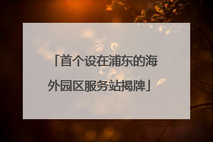 首个设在浦东的海外园区服务站揭牌
