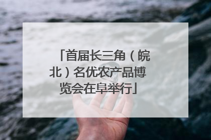 首届长三角（皖北）名优农产品博览会在阜举行