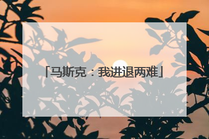 马斯克：我进退两难