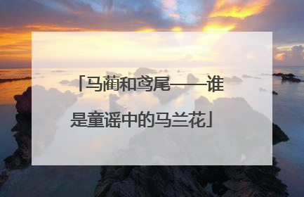 马蔺和鸢尾——谁是童谣中的马兰花