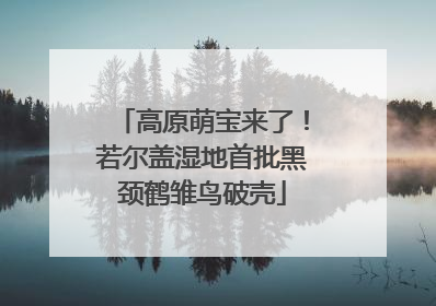 高原萌宝来了！若尔盖湿地首批黑颈鹤雏鸟破壳