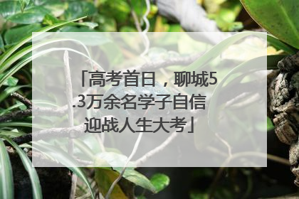 高考首日，聊城5.3万余名学子自信迎战人生大考