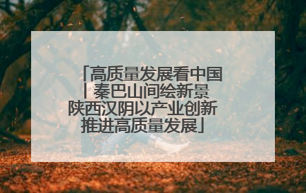 高质量发展看中国丨秦巴山间绘新景 陕西汉阴以产业创新推进高质量发展