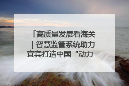 高质量发展看海关｜智慧监管系统助力宜宾打造中国“动力电池之都”