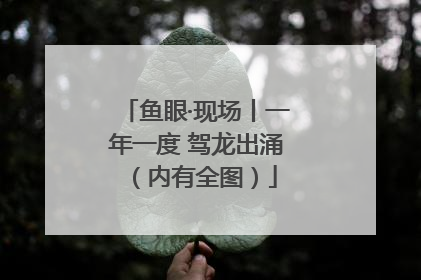 鱼眼·现场丨一年一度 驾龙出涌（内有全图）