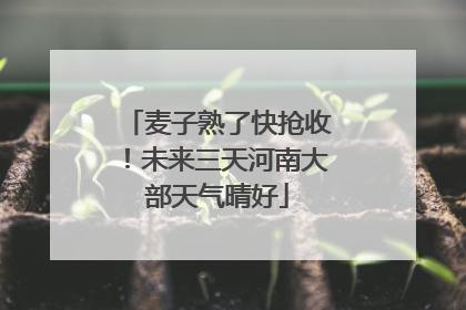 麦子熟了快抢收！未来三天河南大部天气晴好