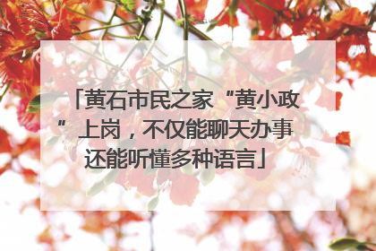 黄石市民之家“黄小政”上岗，不仅能聊天办事还能听懂多种语言