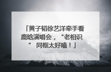 黄子韬徐艺洋牵手看鹿晗演唱会，“老相识” 同框太好嗑！