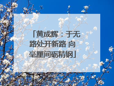 黄成辉：于无路处开新路 向毫厘间砺精钢