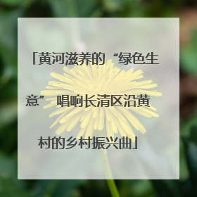 黄河滋养的“绿色生意” 唱响长清区沿黄村的乡村振兴曲