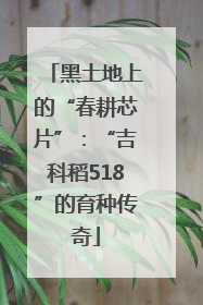 黑土地上的“春耕芯片”：“吉科稻518”的育种传奇