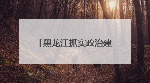 黑龙江抓实政治建设平安建设法治建设队伍建设 铸就“三基地一屏障一高地”安全基石