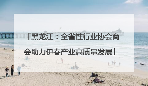 黑龙江：全省性行业协会商会助力伊春产业高质量发展