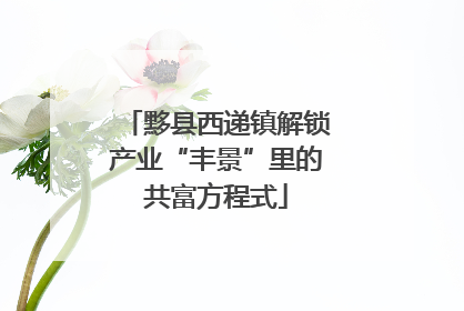 黟县西递镇解锁产业“丰景”里的共富方程式