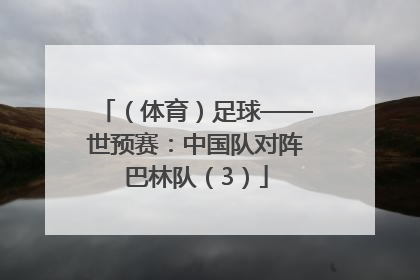 （体育）足球——世预赛：中国队对阵巴林队（3）