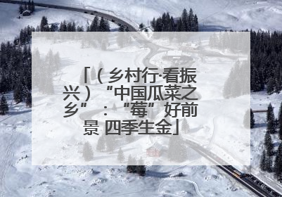 （乡村行·看振兴）“中国瓜菜之乡”：“莓”好前景 四季生金