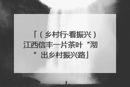 （乡村行·看振兴）江西信丰一片茶叶“沏”出乡村振兴路