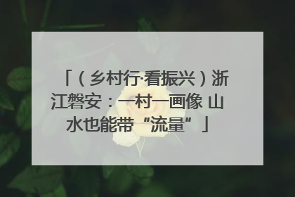 （乡村行·看振兴）浙江磐安：一村一画像 山水也能带“流量”
