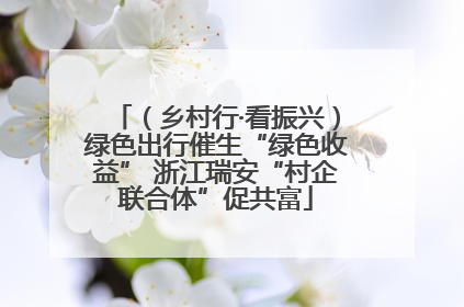 （乡村行·看振兴）绿色出行催生“绿色收益” 浙江瑞安“村企联合体”促共富