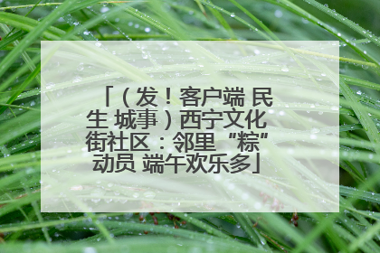 （发！客户端 民生 城事）西宁文化街社区：邻里“粽”动员 端午欢乐多
